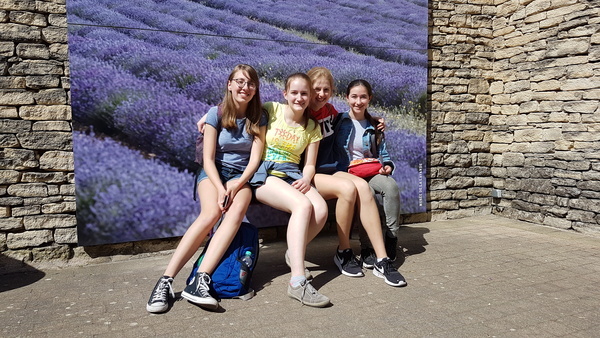 Lavendel, Avignon 2019